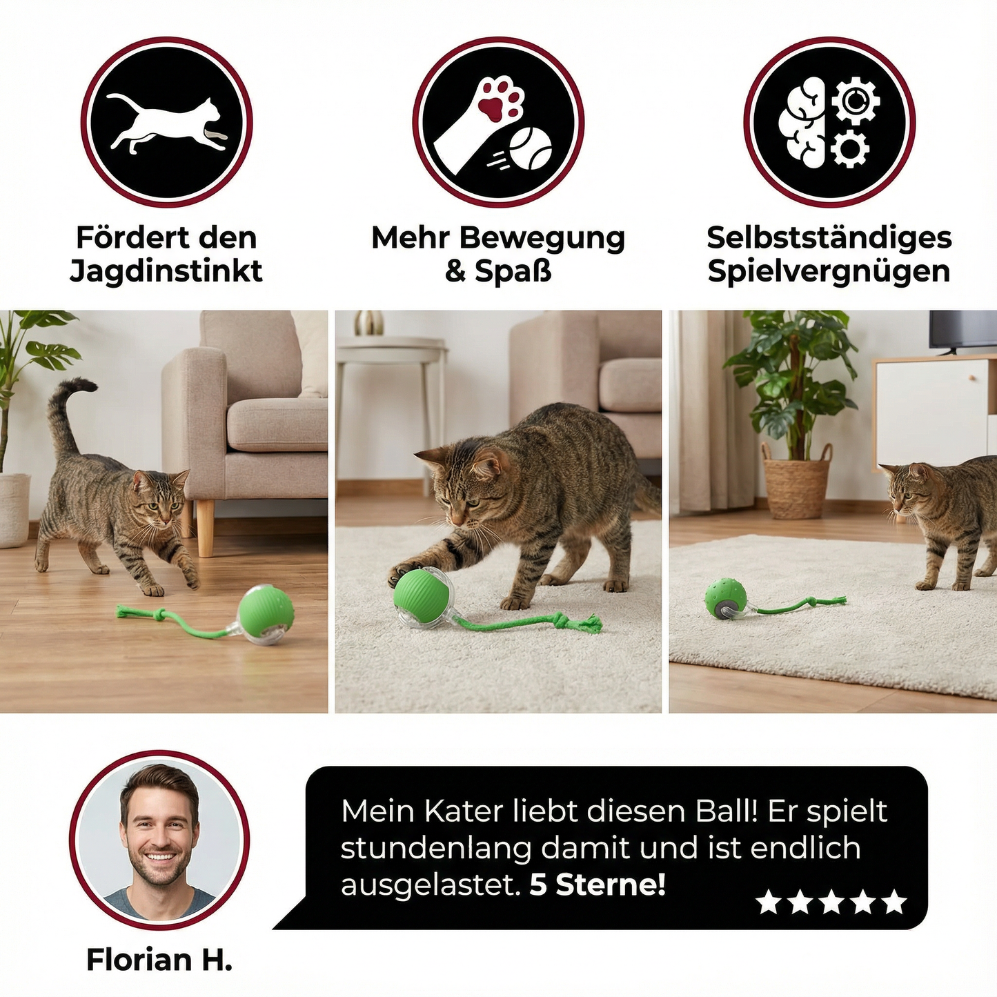 Interaktiver Katzenball mit Schwanz – Bewegung & Spiel für aktive Katzen